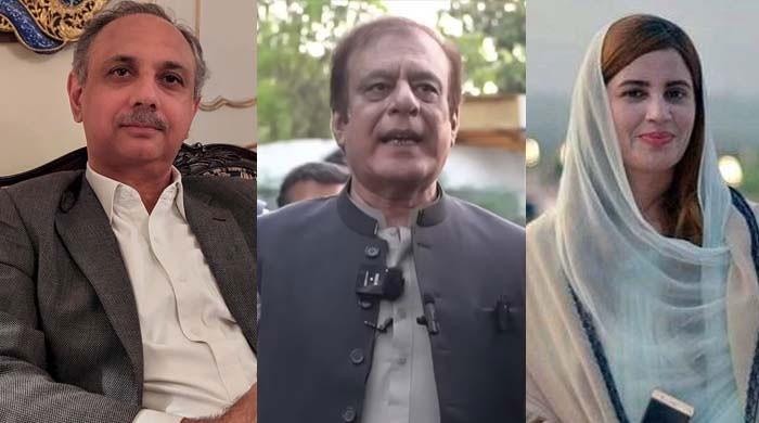 رانا ثنا کے گھر حملے کا کیس: عمر ایوب اور شبلی فراز سمیت 59 ملزمان کو 10،10 سال قید کی سزا