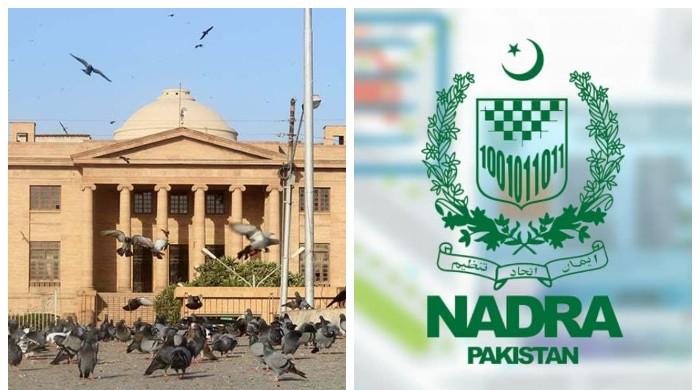 عوام کام کاج چھوڑ کر جاتے ہیں، نادرا کا رویہ بالکل ٹھیک نہیں: سندھ ہائیکورٹ برہم