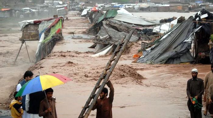 کے پی میں سیلاب سے 406 ہلاکتیں ، بونیر میں سب سے زیادہ 237  اموات ہوئیں 