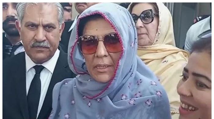 ’شیطان والے سوال نہ کرو، ہمارا موڈ نہیں آپ سے بات کرنے کا‘، علیمہ خان صحافی کے سوالات پر ناراض