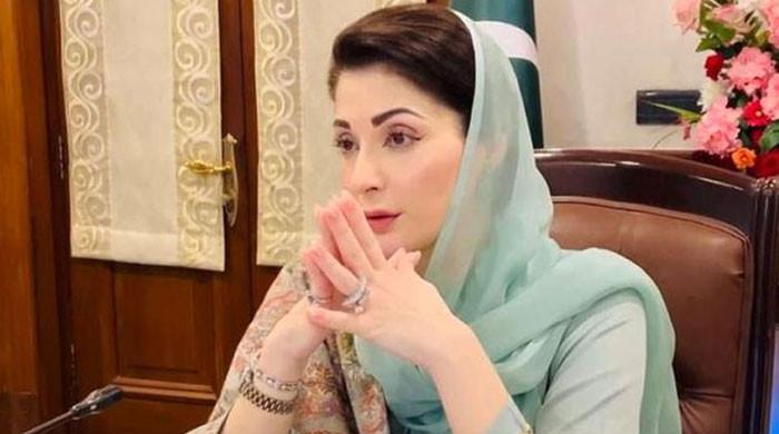ایک سال میں ایسے اقدامات کروں گی کہ اگر اگلے سال سیلاب آئے تو تباہی نہ ہو: وزیراعلیٰ پنجاب