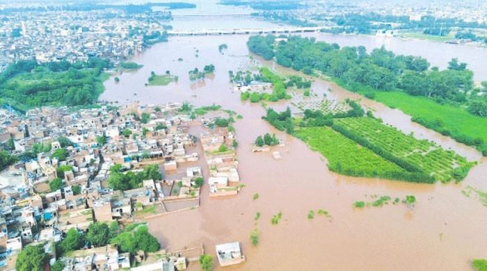 دریا کے اندر غیرقانونی تعمیرات کے نقصان کا کوئی معاوضہ نہیں دیا جائیگا: چیف سیکرٹری پنجاب