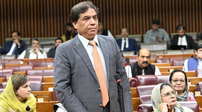 حنیف عباسی نے قومی اسمبلی میں نام لیے بغیر خواجہ آصف پرطنز کے تیر چلادیے
