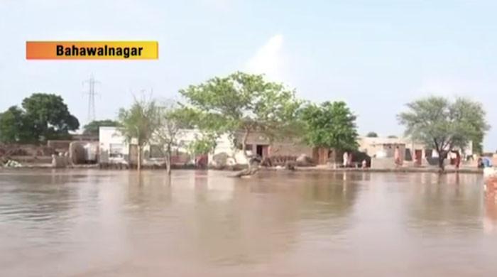 بہاولنگر میں دریائے ستلج کے کنارے آبادیاں سیلاب میں ڈوب گئیں