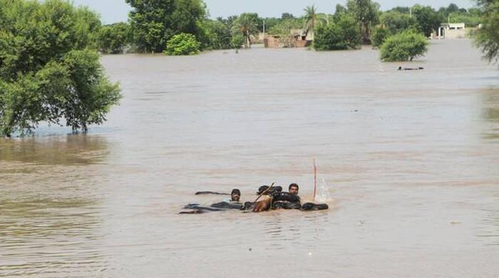 پنجاب کے دریاؤں میں سیلابی صورتحال برقرار، انتظامیہ نے حفاظتی اقدامات مزید تیز کردیے