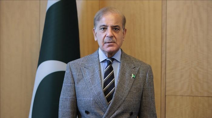 آپریشن سومناتھ کی فتح آج بھی جوانوں کے جذبہ دفاع وطن کو تازہ کرتی ہے، شہباز شریف کا یوم بحریہ پر پیغام