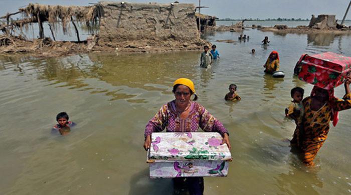 ستلج بپھرنے سے کئی دیہات ڈوب گئے، فصلیں تباہ، پانی کھڑا رہنے سے  بیماریاں پھوٹ پڑیں