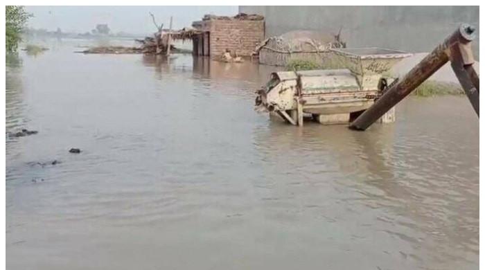 ملتان کی صورتحال تشویشناک، اگلے تین دن کا بڑا چیلنج جنوبی پنجاب ہے: ڈی جی پی ڈی ایم اے