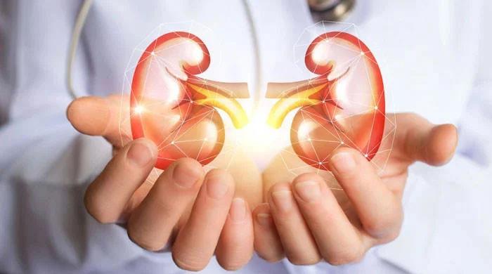 وہ 12 علامات جو گردوں کے امراض کا اشارہ دیتی ہیں