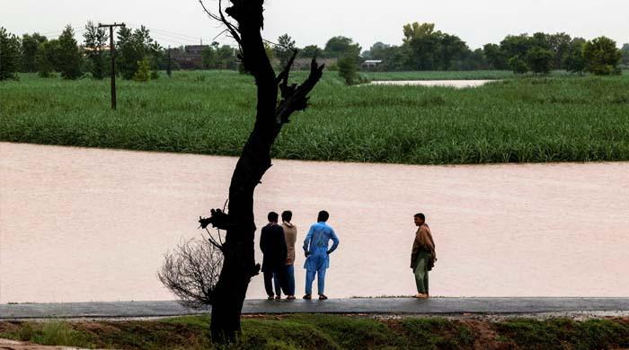 پنجاب: سیلاب سے 4.3 فیصد زرعی رقبہ متاثر،13 لاکھ ایکڑ زمین زیرِ آب آگئی