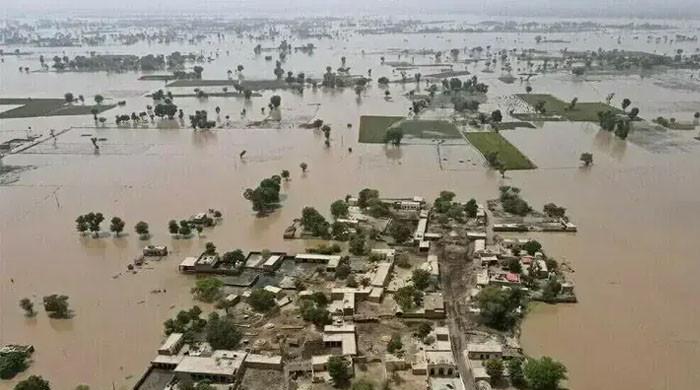 پاکستان میں سیلاب سے ہونے والے نقصان کا جائزہ لیا جا رہا ہے: آئی ایم ایف