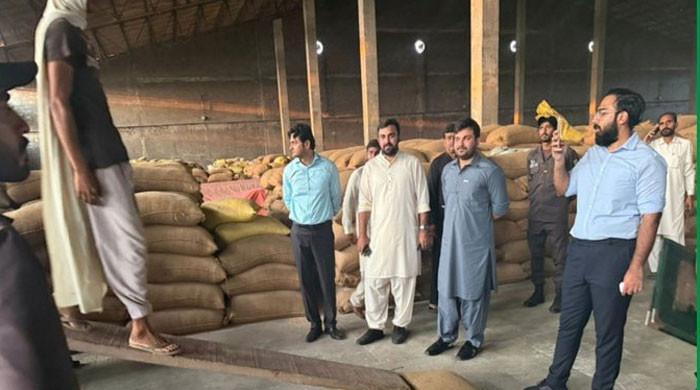 شیخوپورہ: کھاد بنانیوالی فیکٹری کےگودام پر چھاپہ، ذخیرہ کی گئی گندم کی 20 ہزاربوریاں برآمد