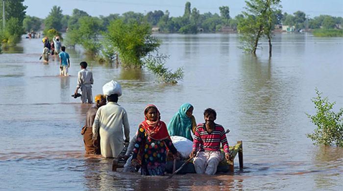 وزیراعلیٰ پنجاب کا صوبے میں سیلاب متاثرین کی بحالی کیلئے آپریشن شروع کرنے کا فیصلہ