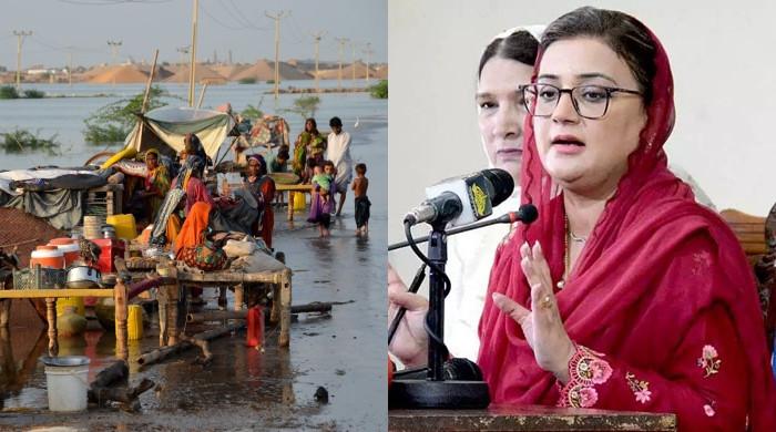 پنجاب حکومت نے بینظیر انکم سپورٹ کے ذریعے سیلاب متاثرین کی امداد سے انکار کردیا
