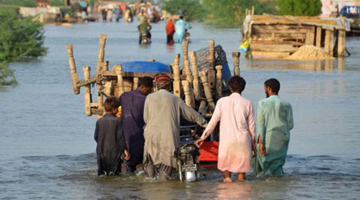 پنجاب میں سیلاب سے ہونیوالے نقصانات کے سروےکیلئے پاک فوج تعینات کرنےکی منظوری