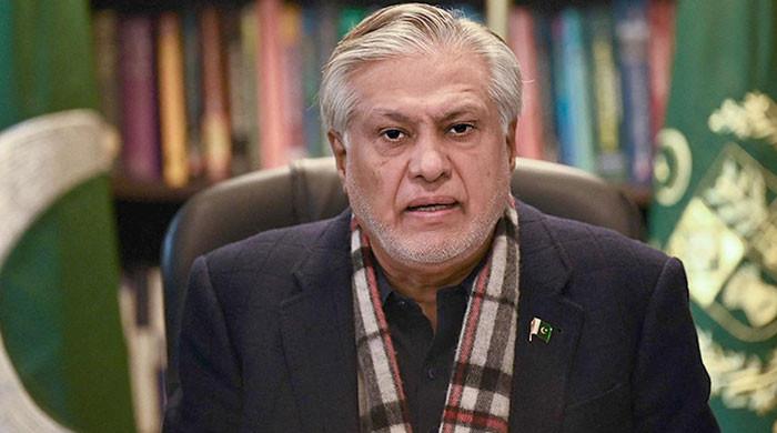 اسلامی ملکوں کے منصوبے کے تحت فلسطین میں امن فورس تعینات ہوگی، امید ہے پاکستان بھی اس متعلق فیصلہ کریگا، اسحاق ڈار