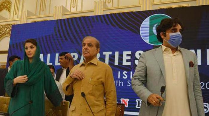 وزیراعلیٰ پنجاب کی تنقید پر پی پی بُرا مان گئی، وزیراعظم کو شکایت لگانے کا فیصلہ