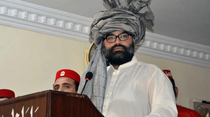 اگر کسی کو میری بات سے دکھ پہنچا تو میں معذرت خواہ ہوں، ملکی دفاع کے حوالے سے فیلڈ مارشل کے کردار کو سراہا ہے: ایمل ولی