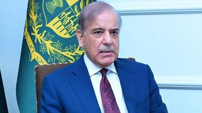 سیاسی بیانات کی بنا پر تعلقات خراب نہیں ہونے چاہییں، وزیراعظم کی پی پی کے تحفظات دور کرنے کی ہدایت