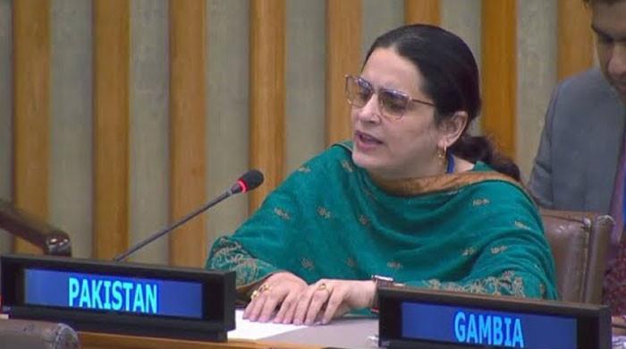 تعصب کی آگ نام نہاد سیکولر بھارت کےنقاب کو جلاچکی: یو این میں پاکستانی مندوب کا بھارت کو کرارا جواب