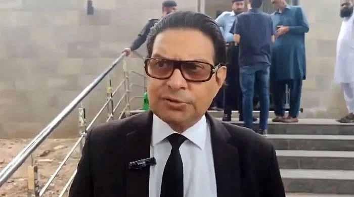 گزشتہ روز جو الزامات لگائے گئے اس کی کوئی بنیاد نہیں: سلمان اکرم راجہ