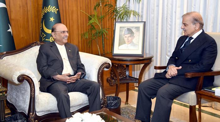 وزیر اعظم کی صدر آصف زرداری سے ملاقات، آزاد کشمیر میں حکومت سازی پر بات چیت