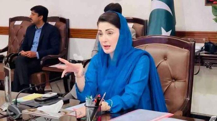 پنجاب میں زمین پر قبضے کے مقدمے کا فیصلہ 90 دن میں ہوگا، آرڈیننس منظور