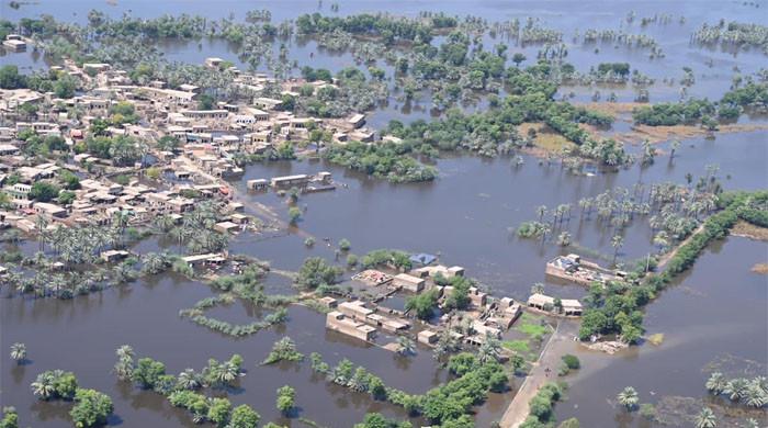 پاکستانی کسانوں کا آلودگی پھیلانے پر جرمن کمپنیوں کیخلاف مقدمہ دائر کرنےکا اعلان 