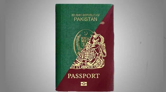 سرکاری ملازم کو دہری شہریت یا ملازمت میں سے ایک کا انتخاب کرنا ہوگا، 27 ویں ترمیم کے ذریعے نیا آرٹیکل لانے کی تجویز