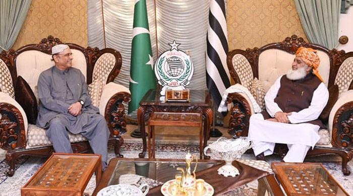 صدر مملکت سے فضل الرحمان کی ملاقات، 27 ویں آئینی ترمیم پر گفتگو