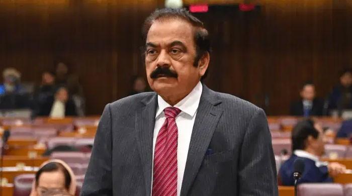 27 ویں کے بعد 28 ویں ترمیم بھی آرہی ہے، رانا ثنا اللہ