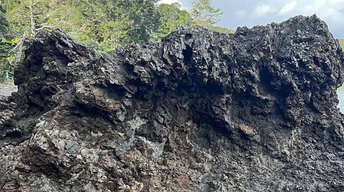 کیا اس تصویر میں چھپی ایک چھوٹی بچی کو تلاش کرسکتے ہیں؟