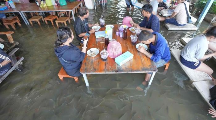 سیلابی پانی اور مچھلیوں کے درمیان کھانا، تھائی لینڈ کا ریسٹورینٹ توجہ کا مرکز 