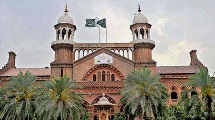 آوارہ کتوں کےکاٹنےکے واقعات کیخلاف کیس: لاہور ہائیکورٹ نے صحت سمیت دیگر محکموں سے رپورٹ طلب کرلی