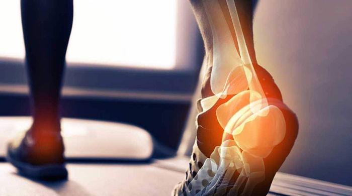 امراض قلب، ذیابیطس، سر درد سے تحفظ اور مضبوط ہڈیوں کا حصول ممکن بنانے والا اہم غذائی جز