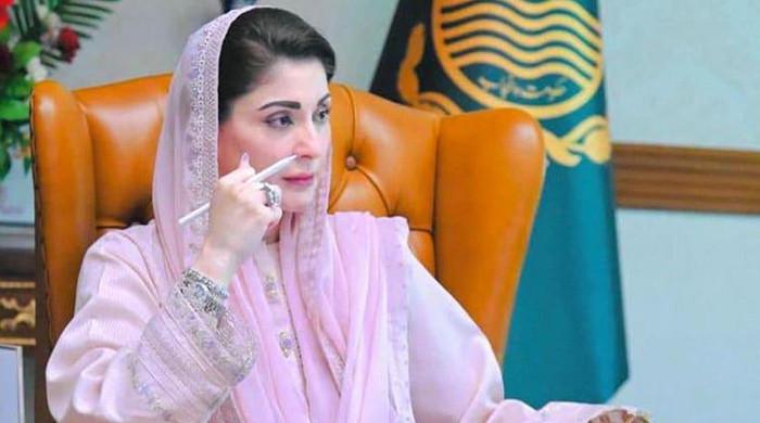 مریم نواز کا پنجابی زبان کو تعلیم، ثقافت اور عوامی زندگی میں مرکزی مقام دلانے کیلئے اقدامات کا حکم