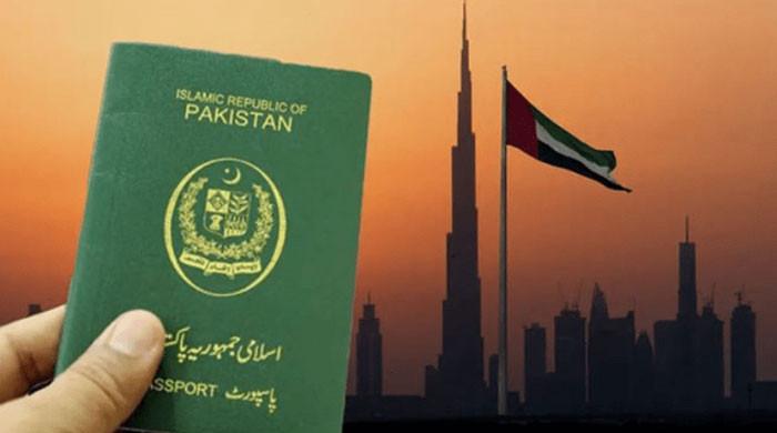 یو اے ای پاکستانیوں کو  ویزے نہیں دے رہا، حکام وزارت داخلہ کی سینیٹ کمیٹی کو بریفنگ