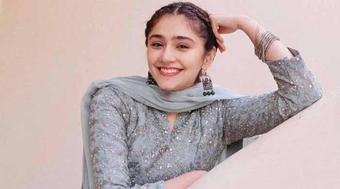 ’اس کی قیمت ایک کروڑ ہے‘، درفشاں کی پینٹنگ کی ویڈیو وائرل