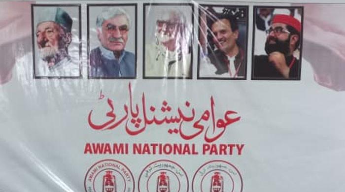 صوبےکا نام خیبرپختونخوا سے بدل کر ’پختونخوا‘ کیاجائے: اے این پی نے 28 ویں ترمیم کیلئے تجاویز ارسال کردیں