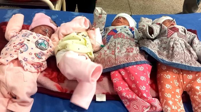 صوابی میں خاتون کے ہاں بیک وقت 4 بچوں کی پیدائش