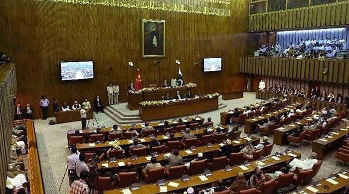 سینیٹ نے زیر حراست افراد کے حقوق کا بل منظور کر لیا