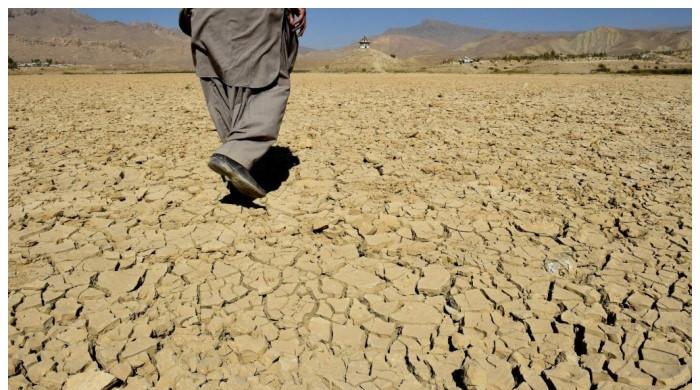 بلوچستان کی قابلِ کاشت زمین گھٹ کر صرف 7.2 فیصد رہ گئی، ماہرین نے خبردار کردیا