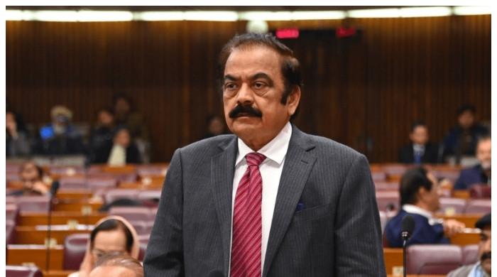 پی ٹی آئی جن سے بات کرنے کو تیار ہے وہ ان سے بات نہیں کرنا چاہتے: رانا ثنااللہ