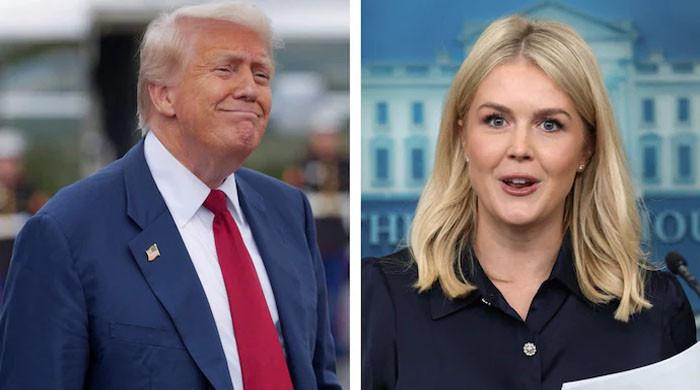 خوبصورت چہرہ، مشین گن جیسے ہونٹ: ٹرمپ کی پریس سیکرٹری کی کھل کر تعریف