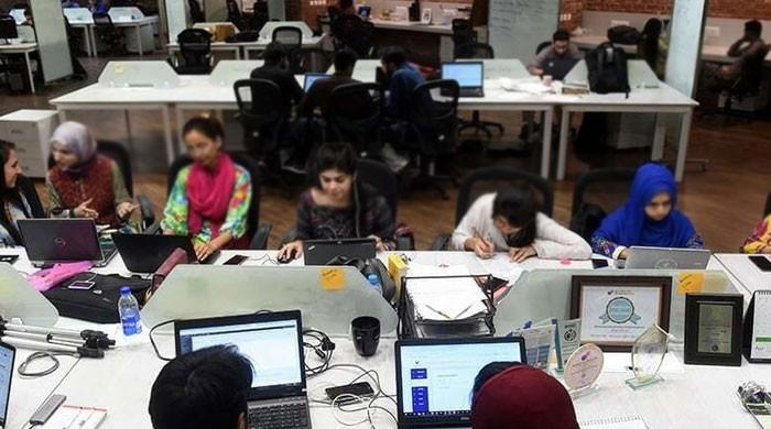 وفاقی ملازمتوں میں خواتین کی تعددا کتنی؟ اعدا د و شمار سامنے آگئے