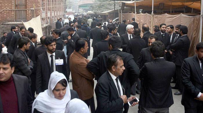 پاکستان بار کونسل کی پنجاب کی 11 میں سے 8 نشستوں پرعاصمہ جہانگیر گروپ کامیاب