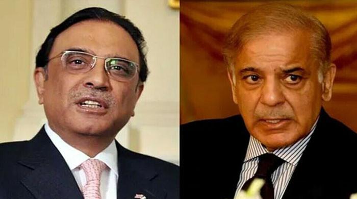 دہشتگردی سے معاشروں کو پہنچنے والے صدمے کو سمجھتے ہیں: صدر مملکت و وزیراعظم کی سڈنی واقعےکی مذمت