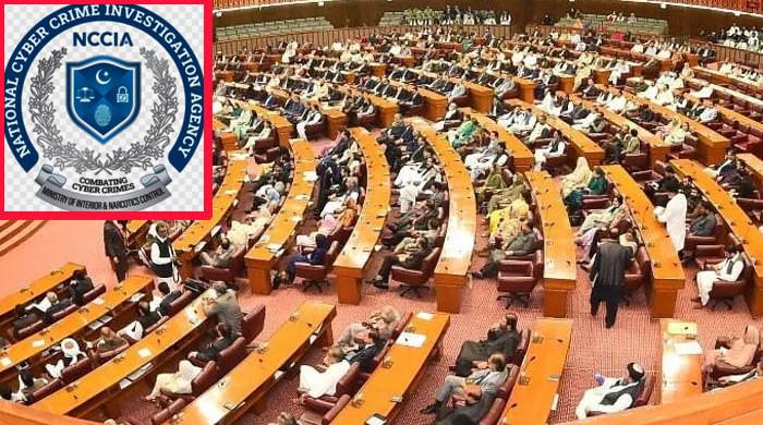 قومی اسمبلی کی قائمہ کمیٹی  کا اجلاس، این سی سی آئی اے کی کارکردگی پر سوالات اٹھ گئے