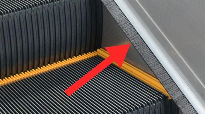 ایسکیلیٹر میں دائیں بائیں یہ برش کیوں موجود ہوتے ہیں؟