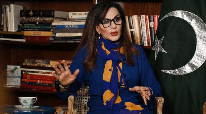 سڈنی حملہ: فیٹف بھارت کی عالمی سطح پر سرگرم دہشتگرد گروہوں کی مبینہ حمایت کا جائزہ لے: شیری رحمان